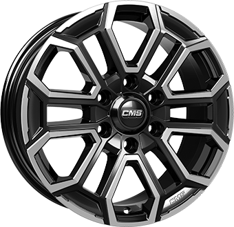 CMS C35