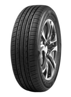 MASTER-STEEL CLUBSPORT