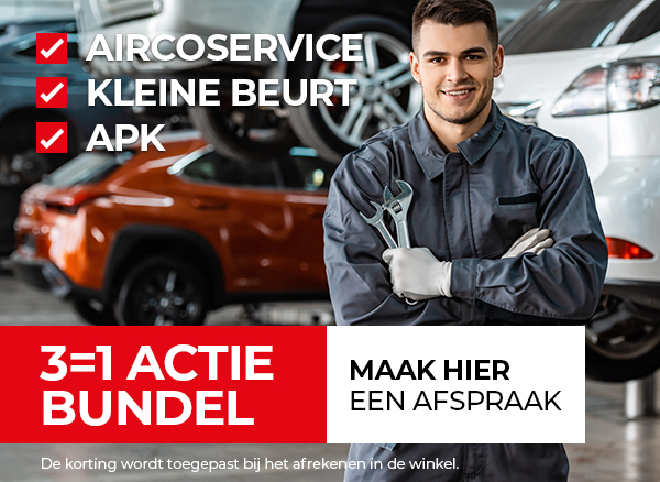 3=1 apk, kleine beurt + Aircoservice (r134a)  van € 407 voor € 299,-